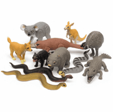 The Curated Parcel - Nature Tube // Australia